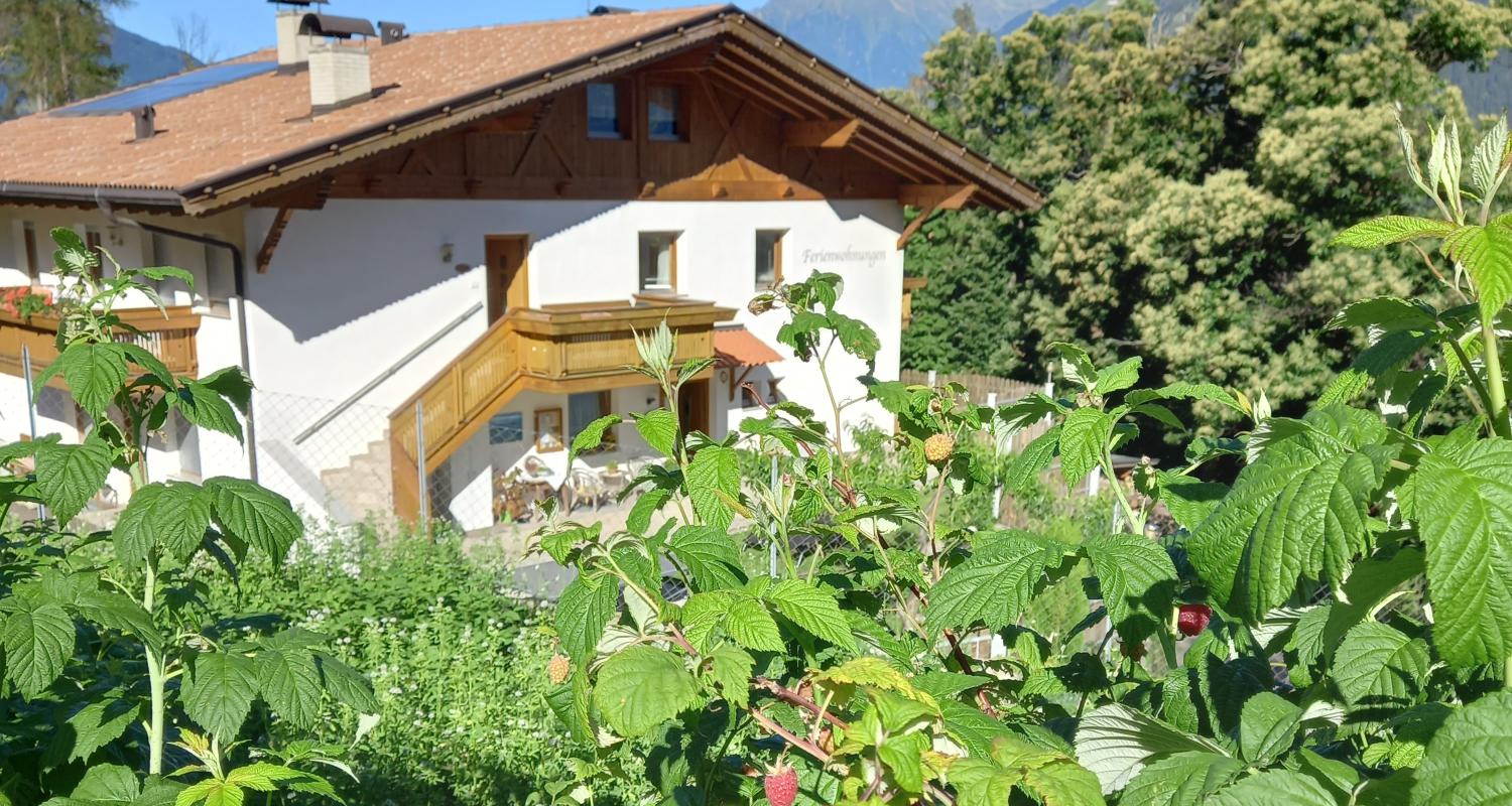 Waldoase von der Nordseite