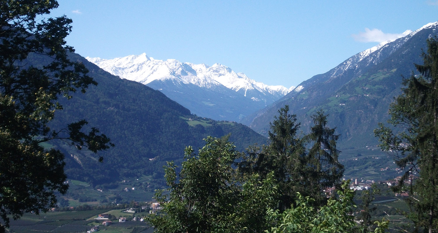 Bergpanorama von der Waldoase