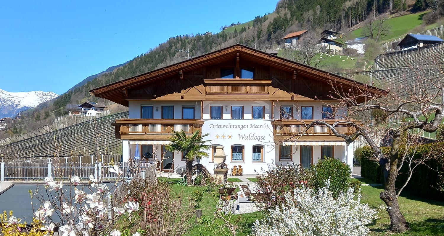 Frühlingsblüte im Haus Waldoase in Schenna